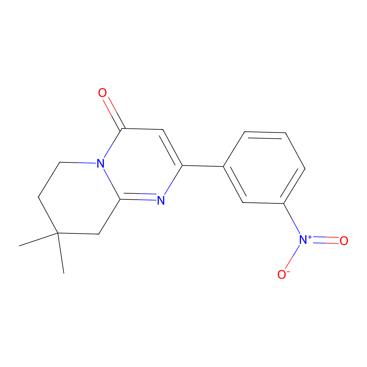 8,8-Dimethyl-2-(3-nitrophenyl)-4H,6H,7H,8H,9H-pyrido[1,2-a]pyrimidin-4-one molecular structure, CAS 2060034-85-5