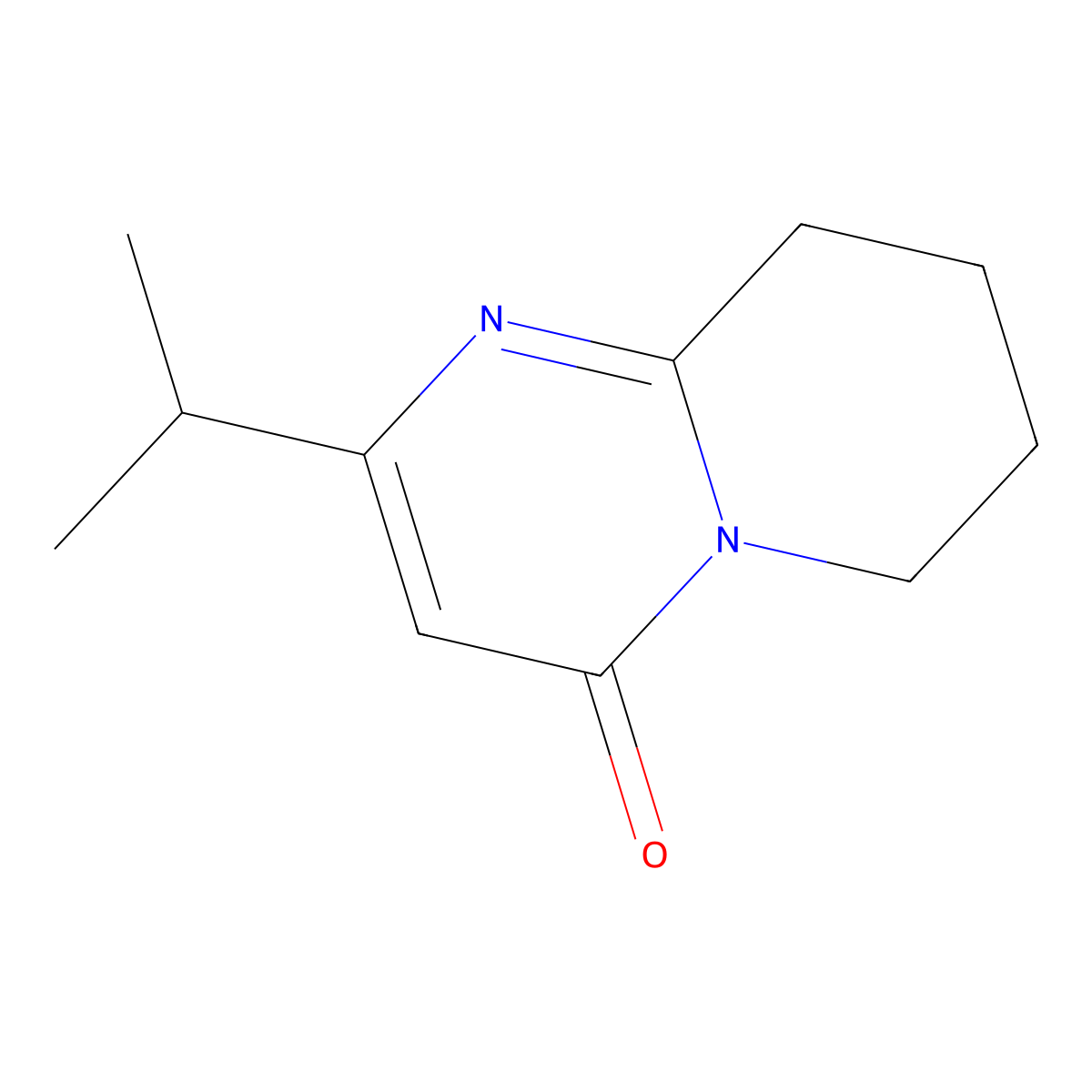 2-(Propan-2-yl)-4H,6H,7H,8H,9H-pyrido[1,2-a]pyrimidin-4-one molecular structure, CAS 2060037-68-3