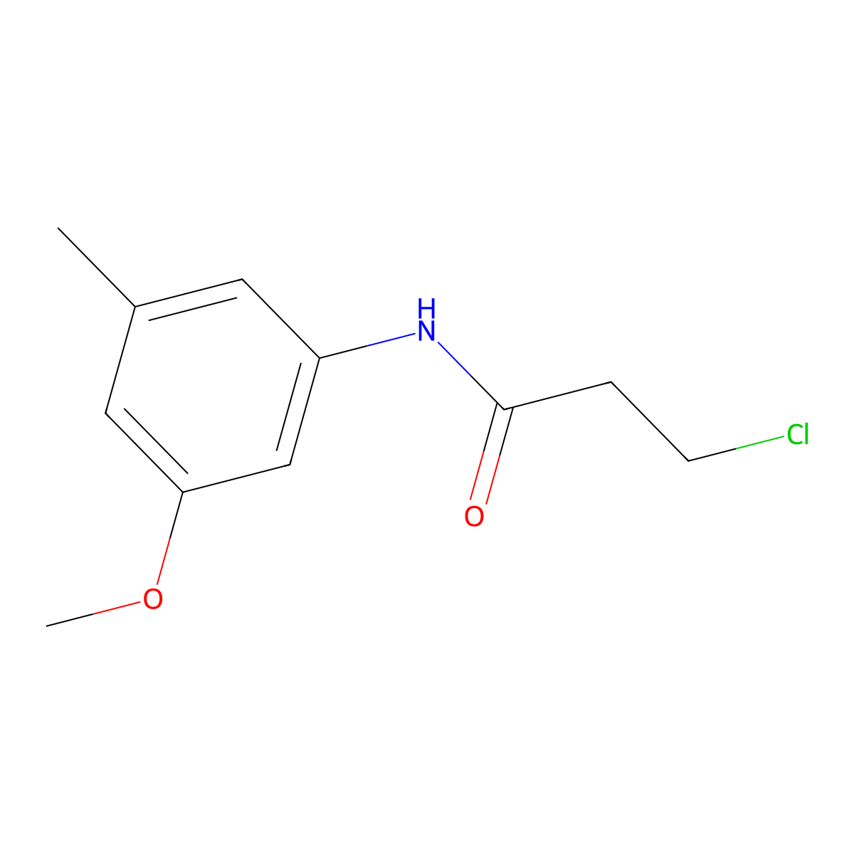 3-Chloro-N-(3-methoxy-5-methylphenyl)propanamide molecular structure, CAS 2060039-16-7