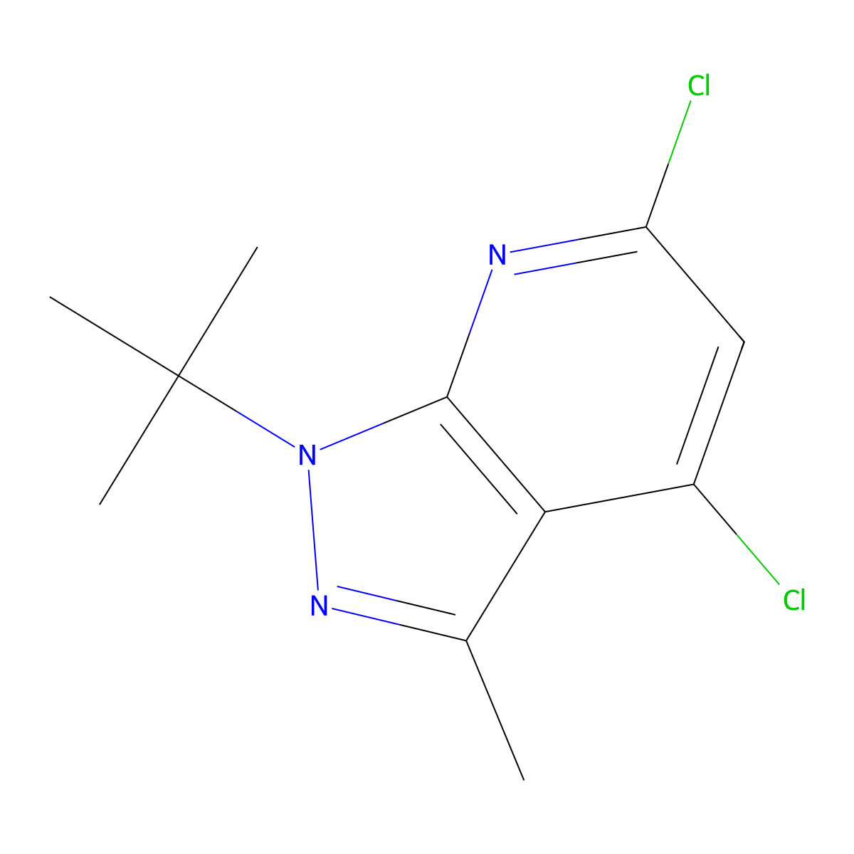 1-tert-Butyl-4,6-dichloro-3-methyl-1H-pyrazolo[3,4-b]pyridine molecular structure, CAS 2060040-55-1