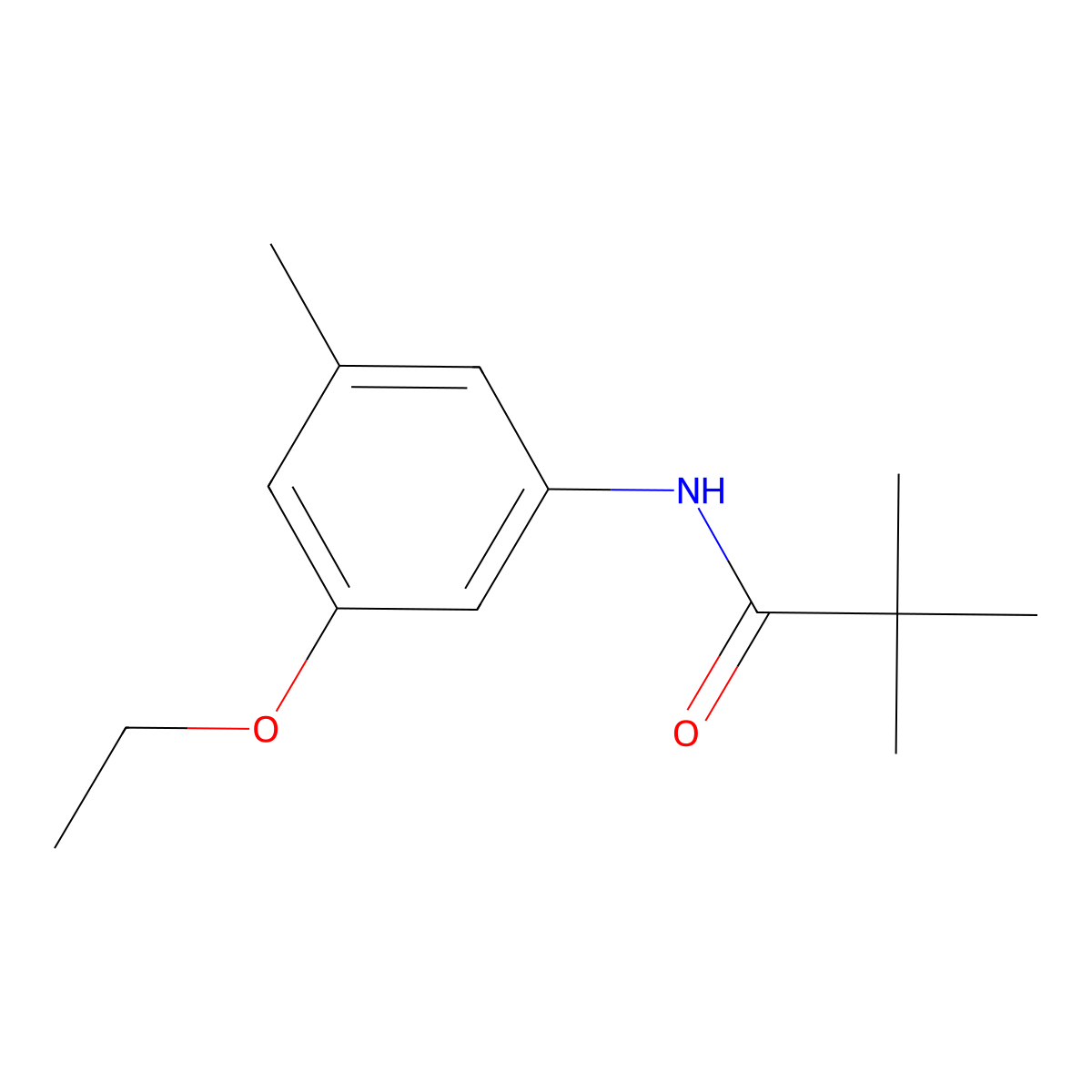 N-(3-Ethoxy-5-methylphenyl)-2,2-dimethylpropanamide molecular structure, CAS 2060045-38-5