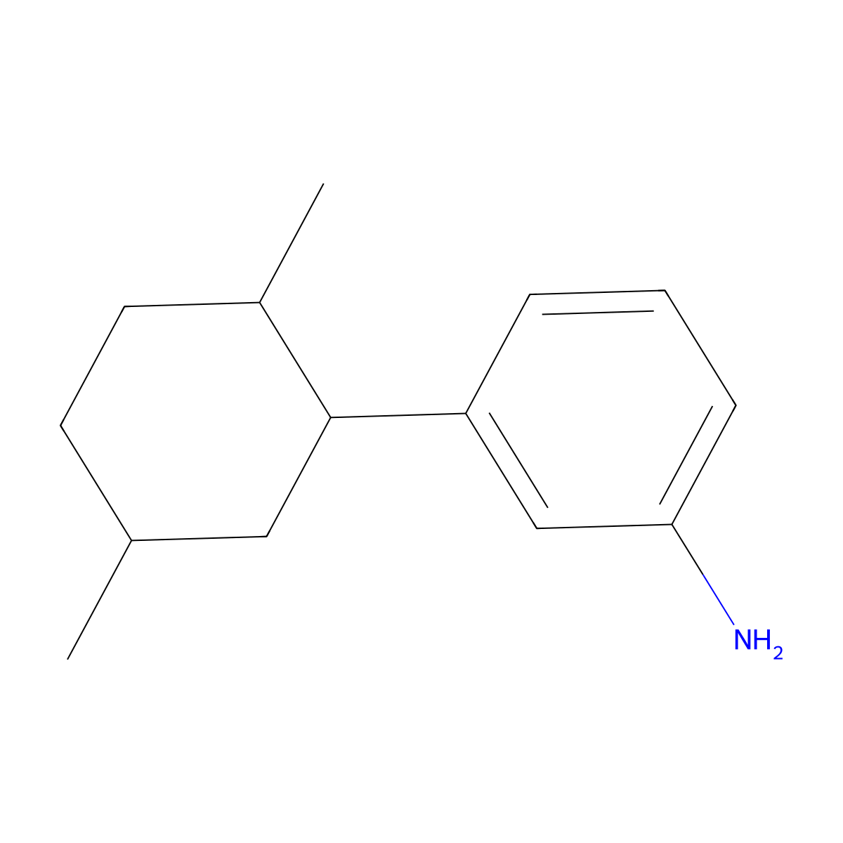 3-(2,5-Dimethylcyclohexyl)aniline molecular structure, CAS 2060045-68-1