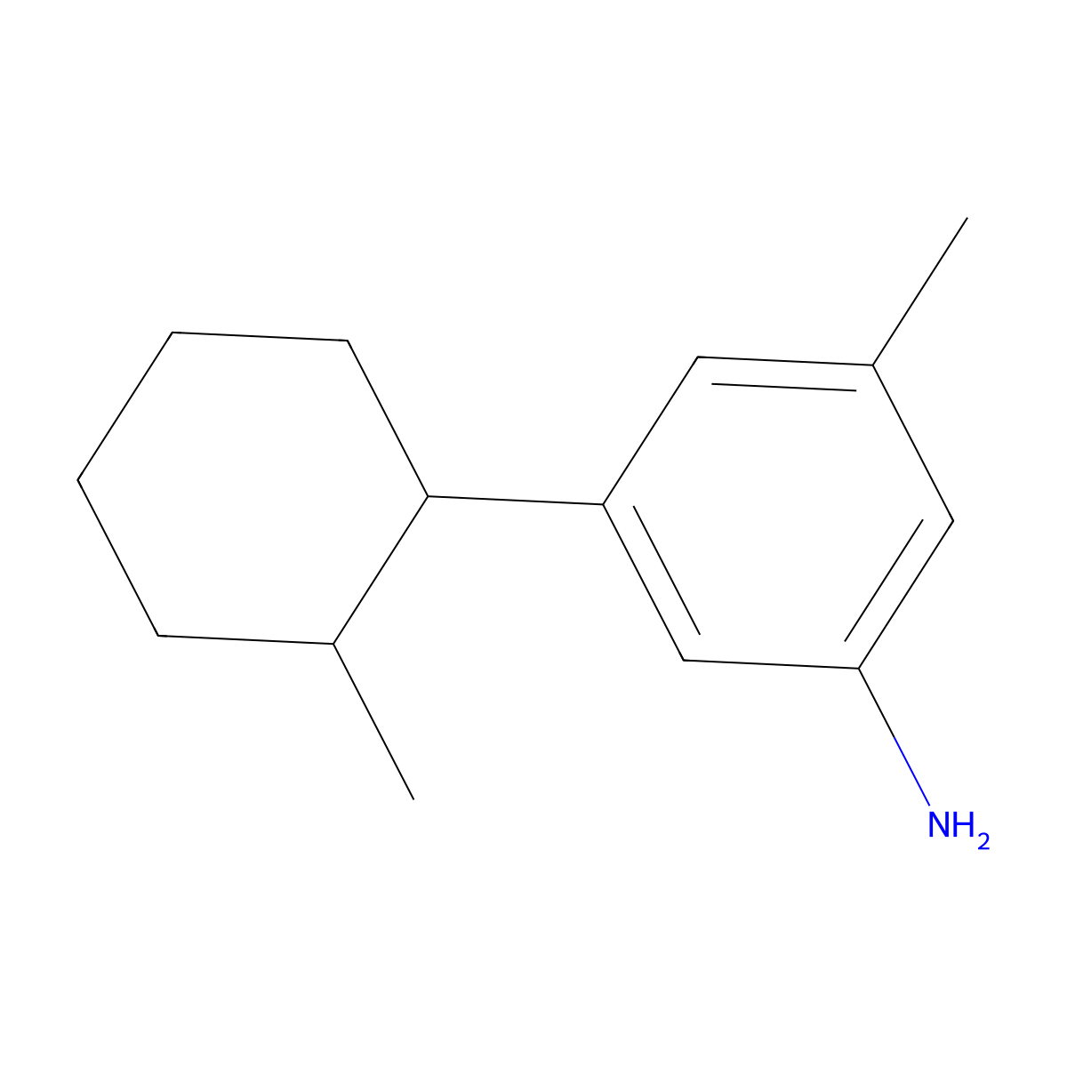 3-Methyl-5-(2-methylcyclohexyl)aniline molecular structure, CAS 2060049-16-1