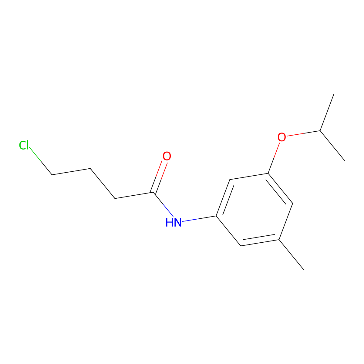 4-Chloro-N-[3-methyl-5-(propan-2-yloxy)phenyl]butanamide molecular structure, CAS 2060057-35-2
