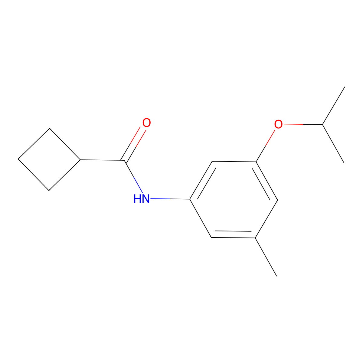 N-[3-Methyl-5-(propan-2-yloxy)phenyl]cyclobutanecarboxamide molecular structure, CAS 2060057-73-8