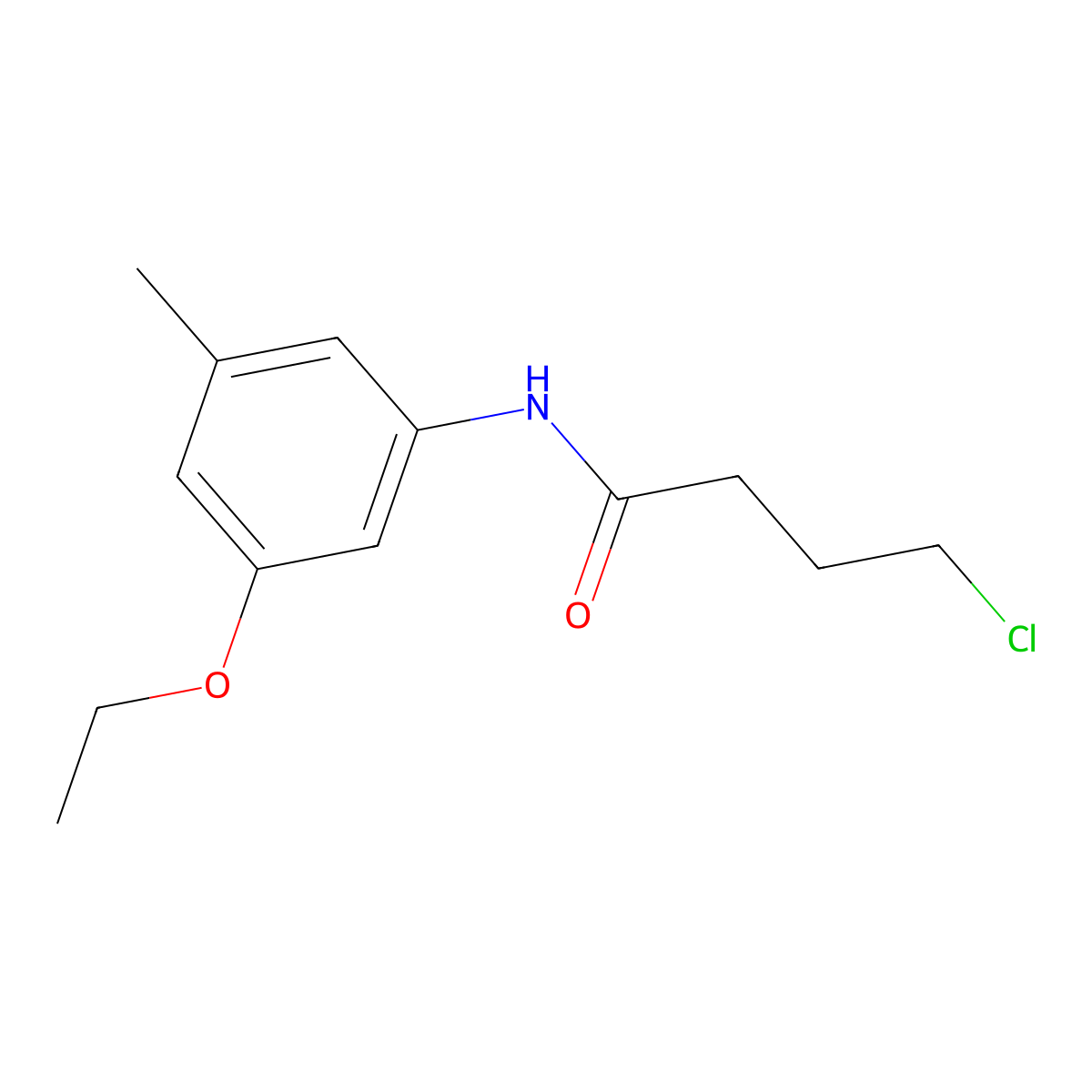 4-Chloro-N-(3-ethoxy-5-methylphenyl)butanamide molecular structure, CAS 2060062-34-0