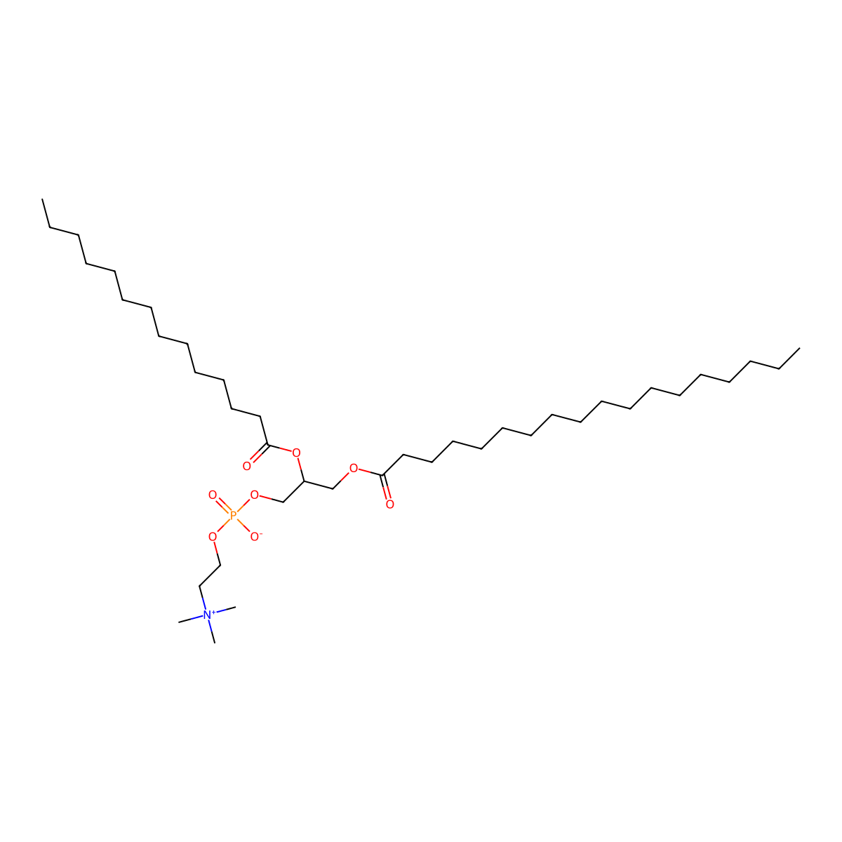 1-Stearoyl-2-myristoylphosphatidylcholine molecular structure, CAS 20664-02-2