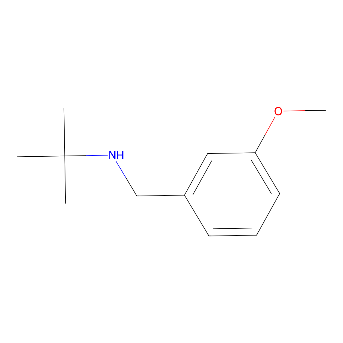 N-[(3-methoxyphenyl)methyl]-2-methylpropan-2-amine molecular structure, CAS 207349-84-6