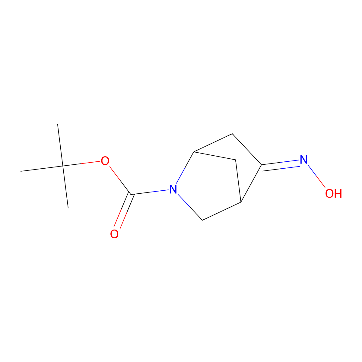 Tert-butyl 5-hydroxyimino-2-azabicyclo[2.2.1]heptane-2-carboxylate molecular structure, CAS 207405-61-6