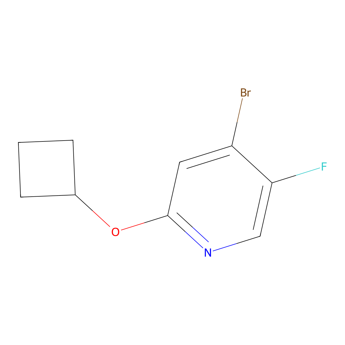 4-Bromo-2-cyclobutoxy-5-fluoropyridine molecular structure, CAS 2074615-68-0