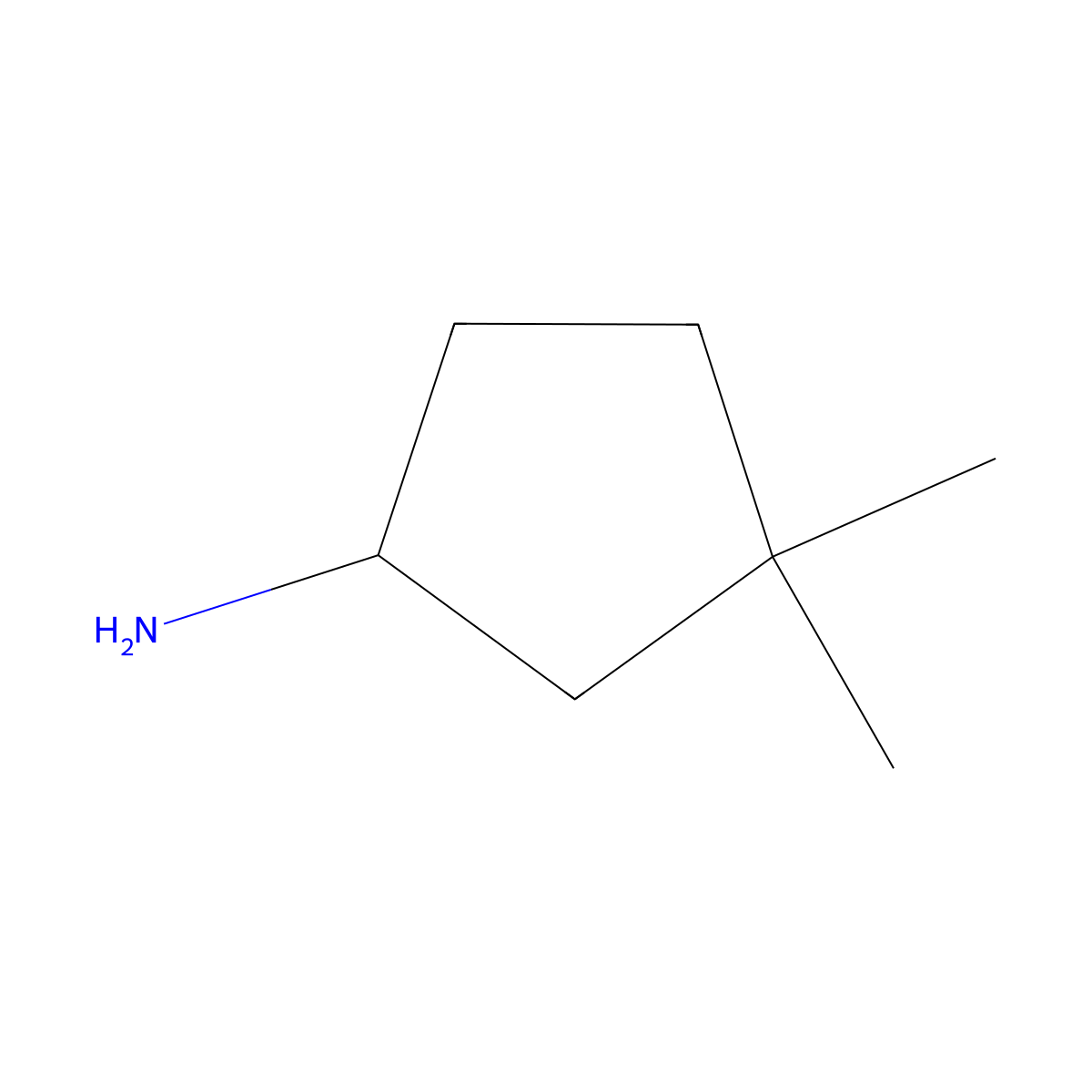 3,3-Dimethylcyclopentan-1-amine molecular structure, CAS 207907-68-4