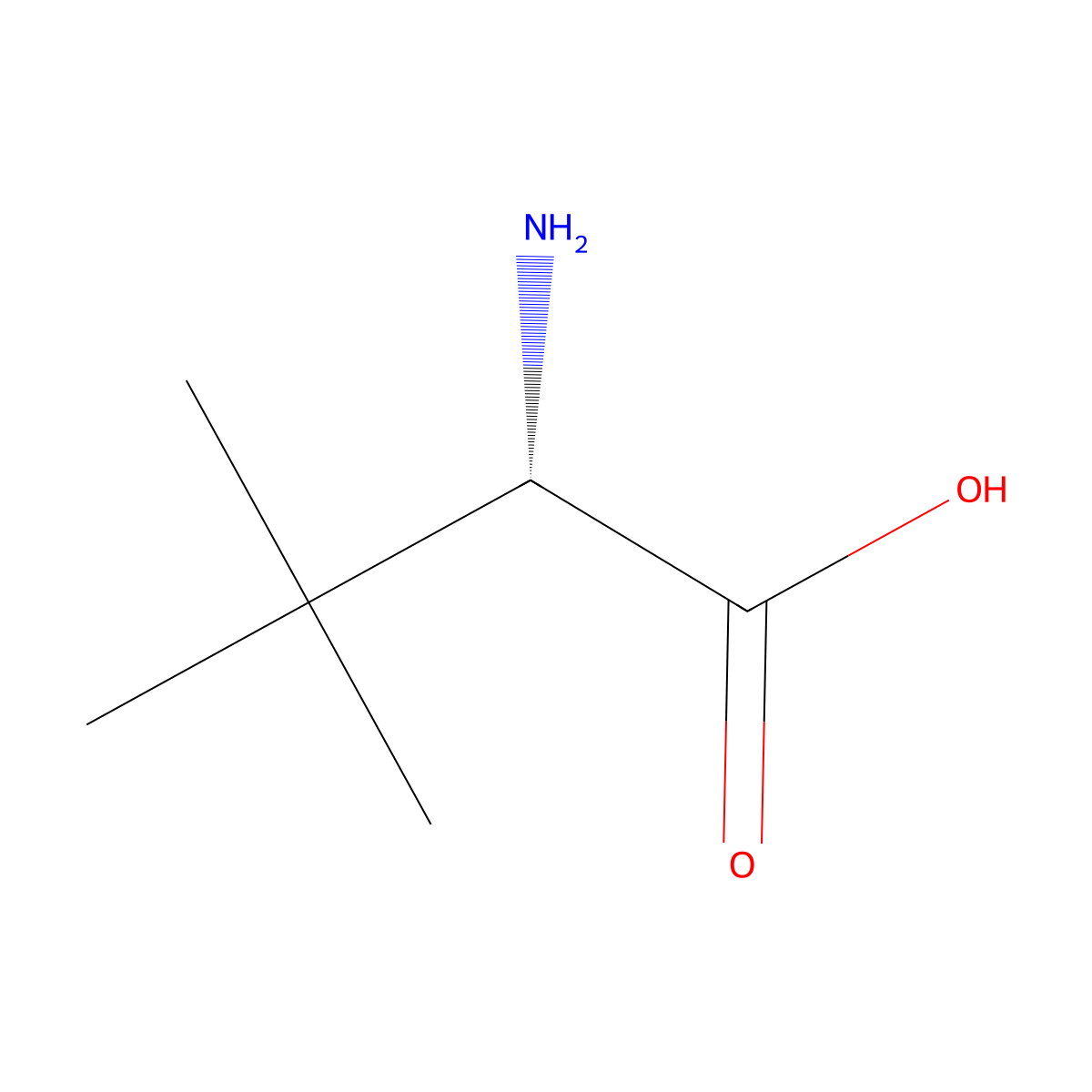 L-tert-Leucine molecular structure, CAS 20859-02-3