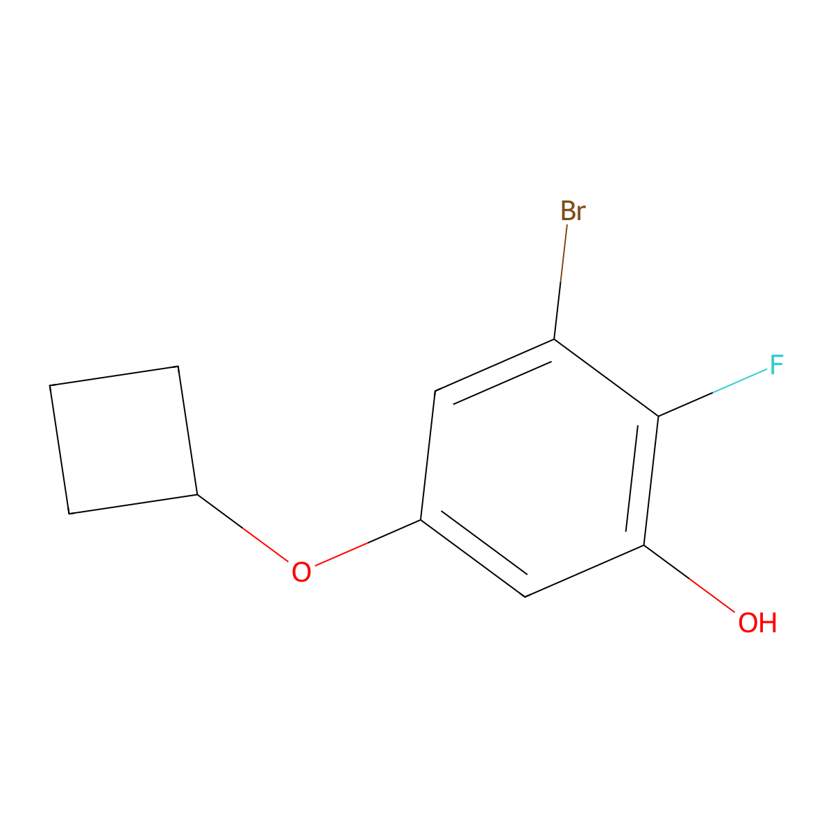 3-Bromo-5-cyclobutoxy-2-fluorophenol molecular structure, CAS 2088284-78-8