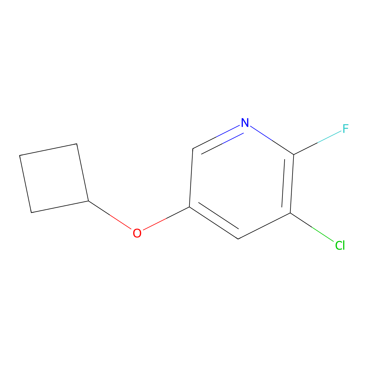 3-Chloro-5-cyclobutoxy-2-fluoropyridine molecular structure, CAS 2088284-79-9