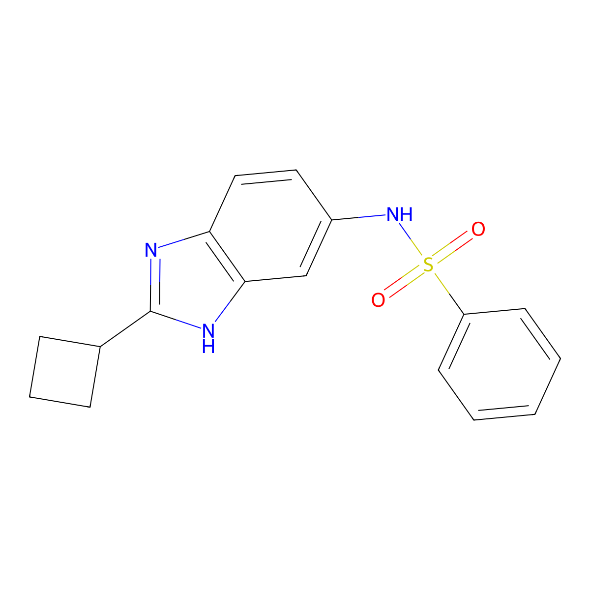 N-(2-cyclobutyl-1H-1,3-benzodiazol-5-yl)benzenesulfonamide molecular structure, CAS 2094667-81-7