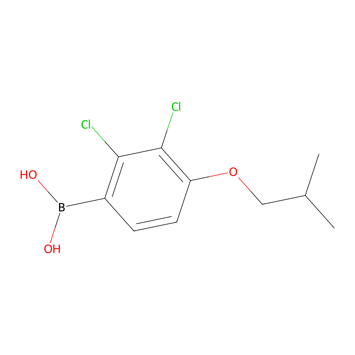 2,3-Dichloro-4-isobutoxyphenylboronic acid molecular structure, CAS 2096329-79-0