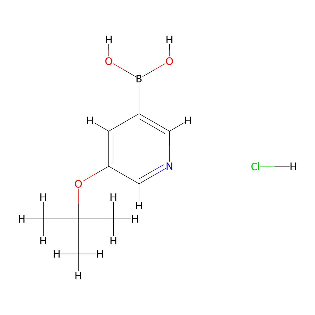 5-(tert-Butoxy)pyridine-3-boronic acid hydrochloride molecular structure, CAS 2096330-89-9
