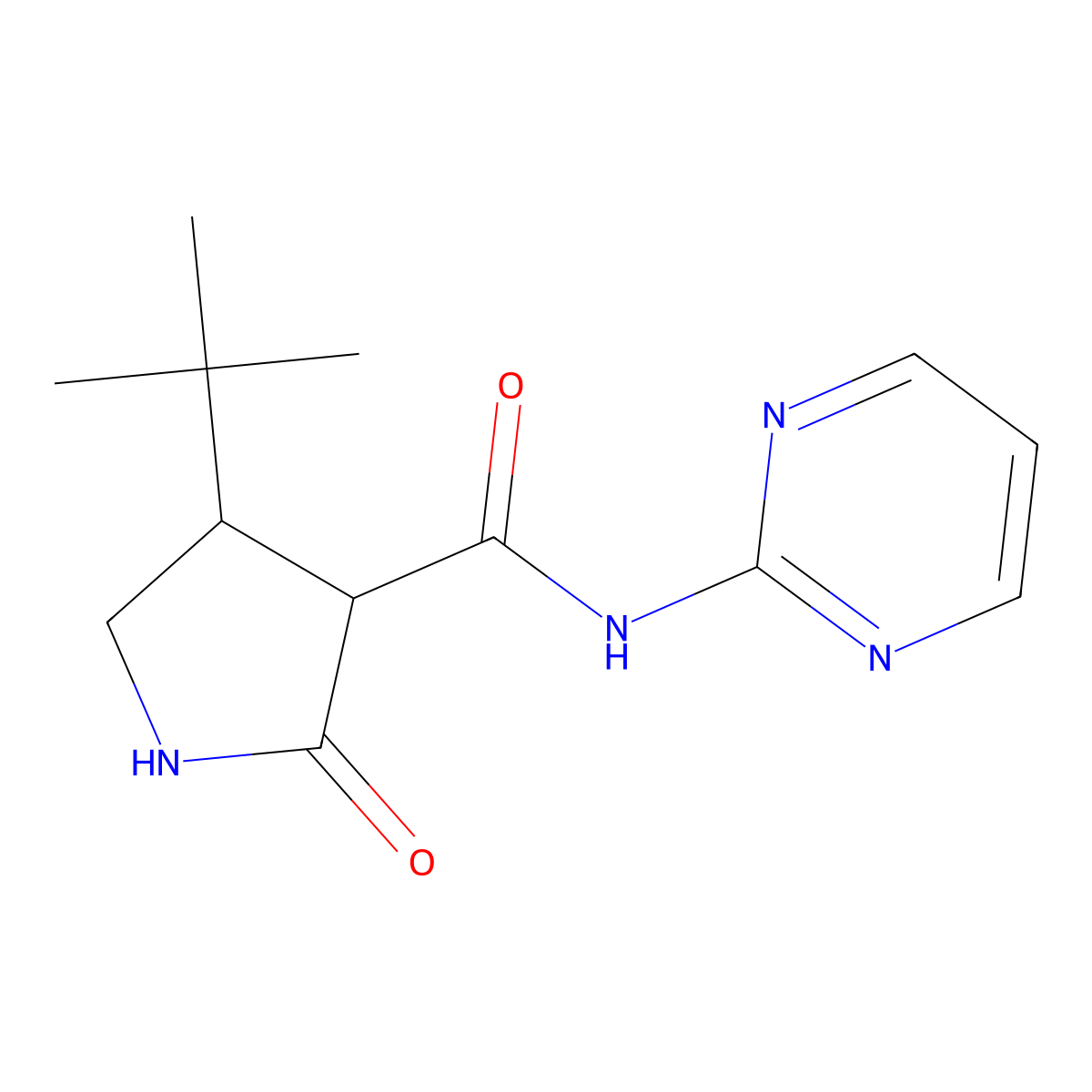 4-tert-butyl-2-oxo-N-(pyrimidin-2-yl)pyrrolidine-3-carboxamide molecular structure, CAS 2097857-30-0