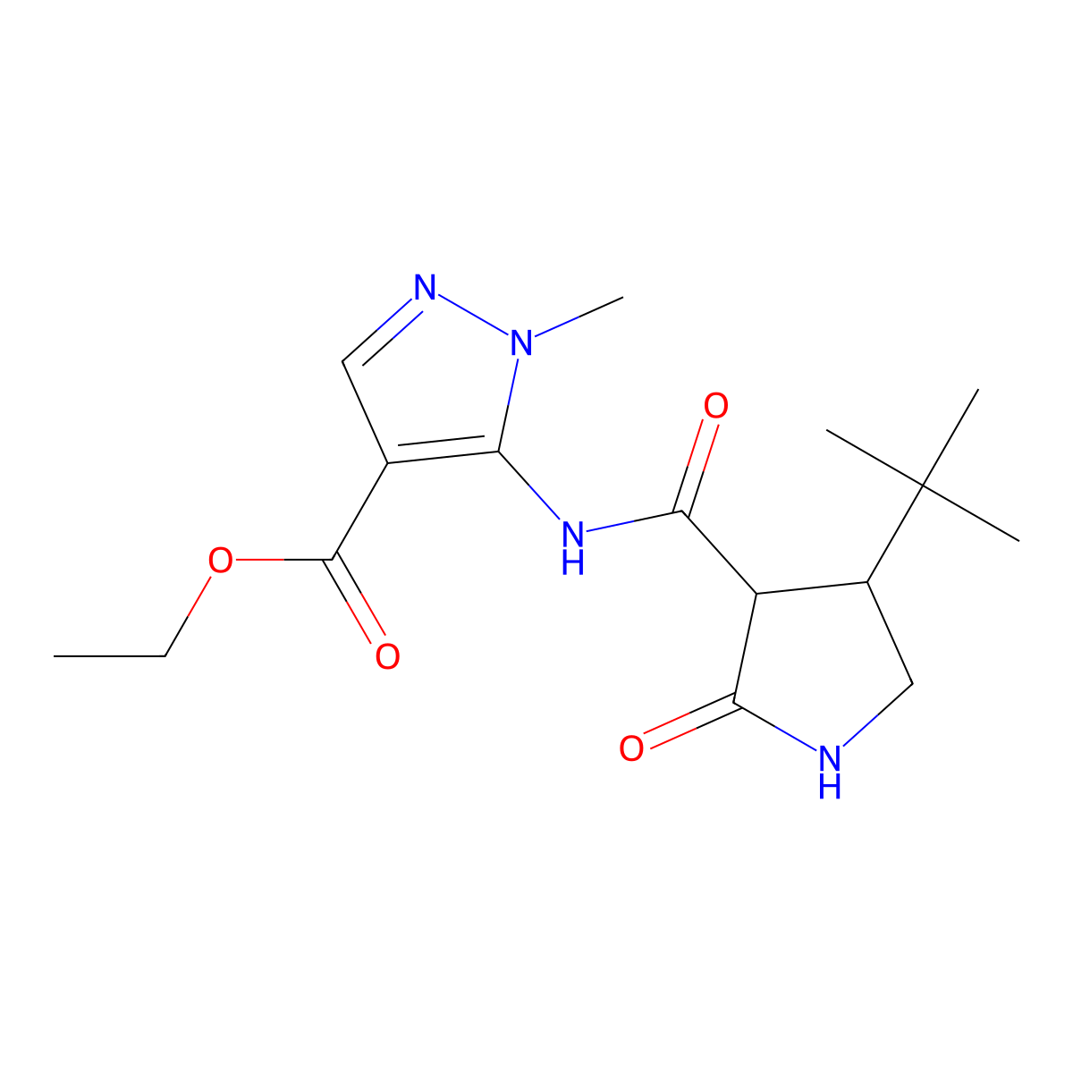 ethyl 5-(4-tert-butyl-2-oxopyrrolidine-3-amido)-1-methyl-1H-pyrazole-4-carboxylate molecular structure, CAS 2097857-45-7
