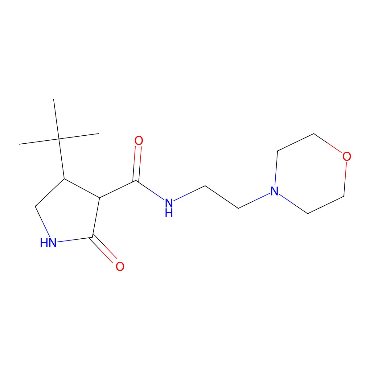 4-tert-butyl-N-[2-(morpholin-4-yl)ethyl]-2-oxopyrrolidine-3-carboxamide molecular structure, CAS 2097860-90-5