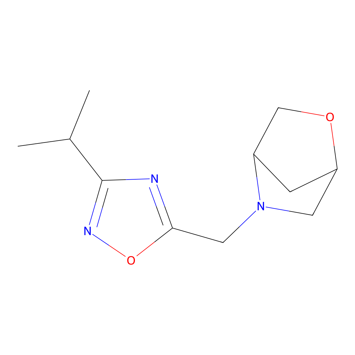 5-{[3-(Propan-2-yl)-1,2,4-oxadiazol-5-yl]methyl}-2-oxa-5-azabicyclo[2.2.1]heptane molecular structure, CAS 2097864-10-1