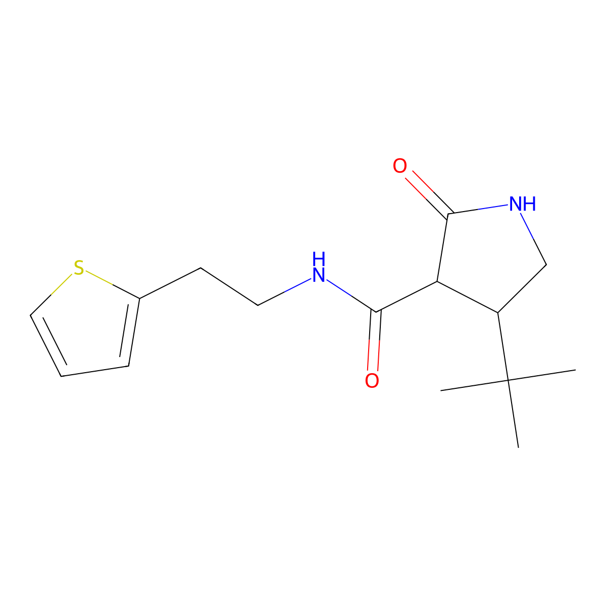 4-tert-butyl-2-oxo-N-[2-(thiophen-2-yl)ethyl]pyrrolidine-3-carboxamide molecular structure, CAS 2097864-98-5