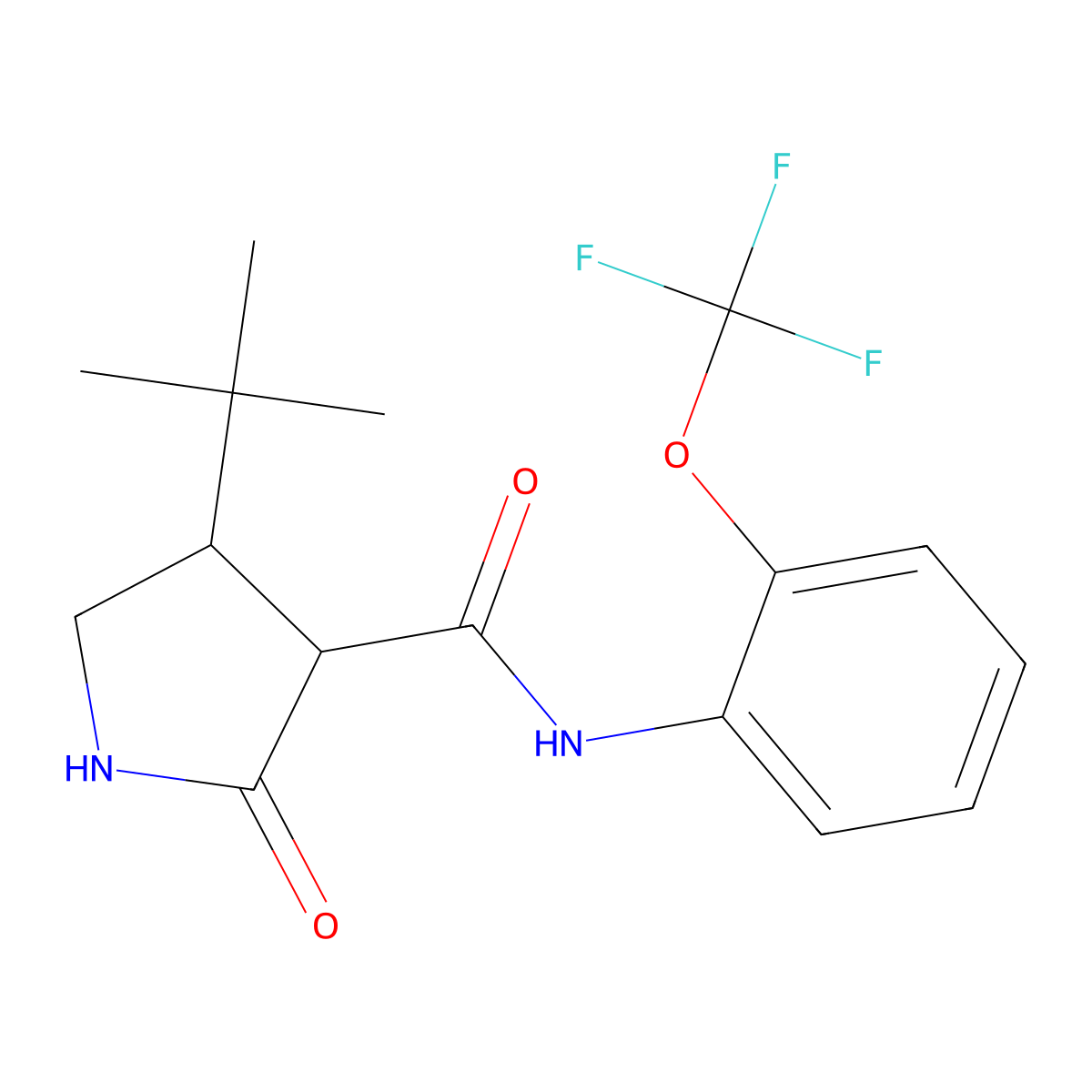 4-tert-butyl-2-oxo-N-[2-(trifluoromethoxy)phenyl]pyrrolidine-3-carboxamide molecular structure, CAS 2097865-03-5