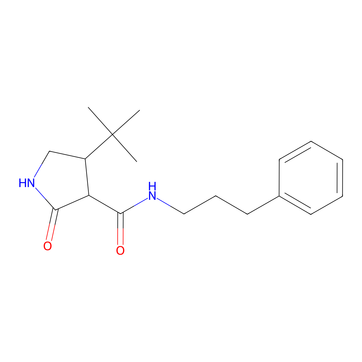 4-tert-butyl-2-oxo-N-(3-phenylpropyl)pyrrolidine-3-carboxamide molecular structure, CAS 2097868-54-5