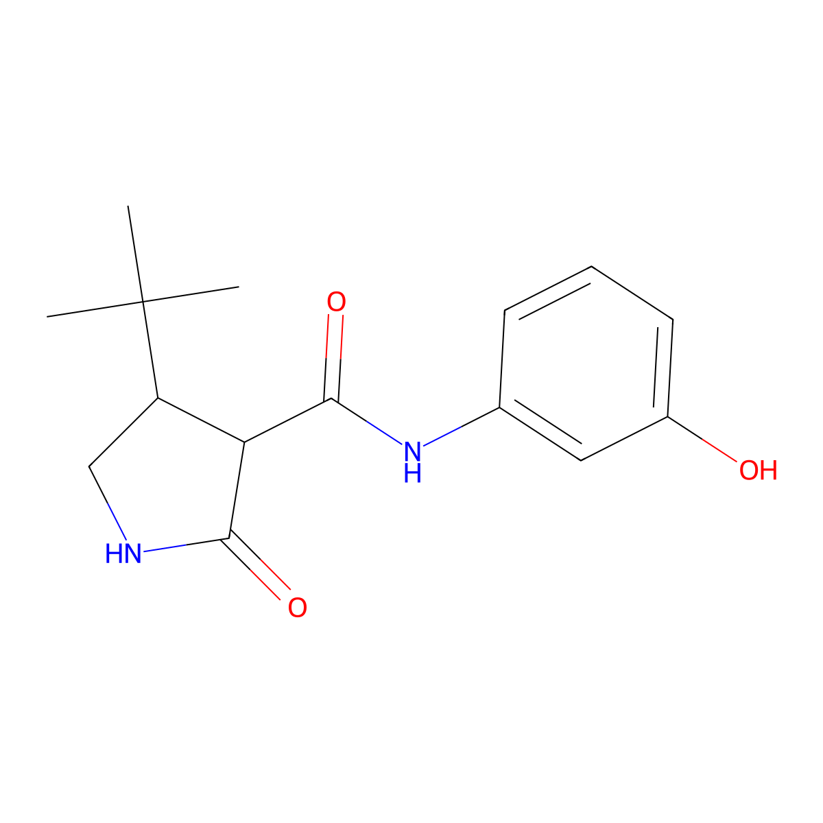 4-tert-butyl-N-(3-hydroxyphenyl)-2-oxopyrrolidine-3-carboxamide molecular structure, CAS 2097868-85-2
