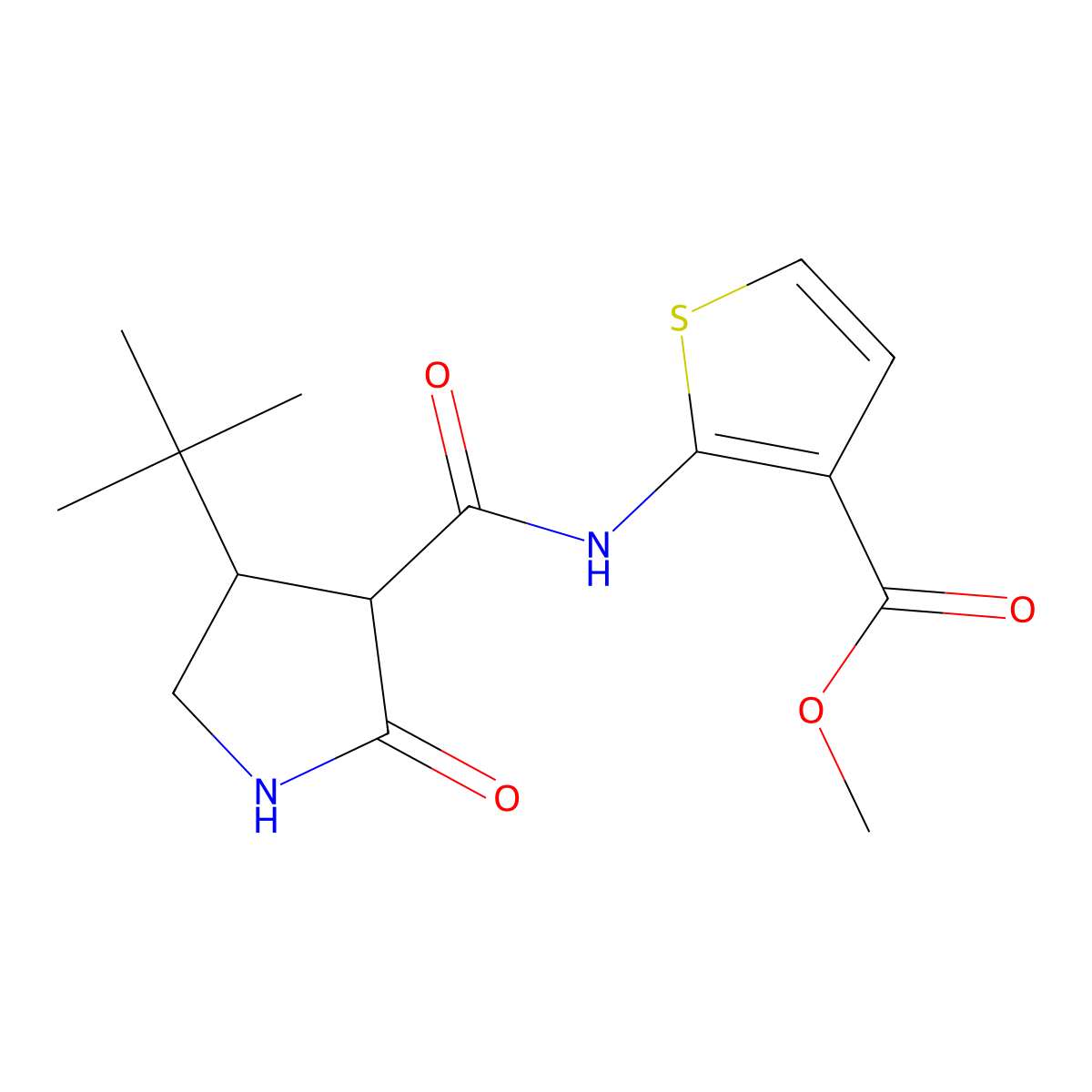 Methyl 2-(4-tert-butyl-2-oxopyrrolidine-3-amido)thiophene-3-carboxylate molecular structure, CAS 2097895-70-8