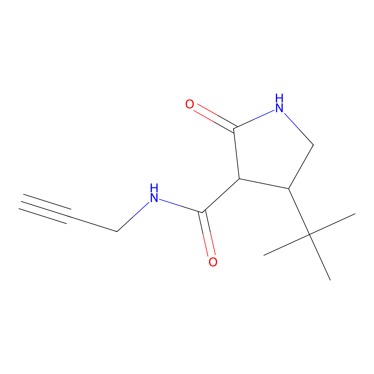 4-tert-butyl-2-oxo-N-(prop-2-yn-1-yl)pyrrolidine-3-carboxamide molecular structure, CAS 2097895-96-8