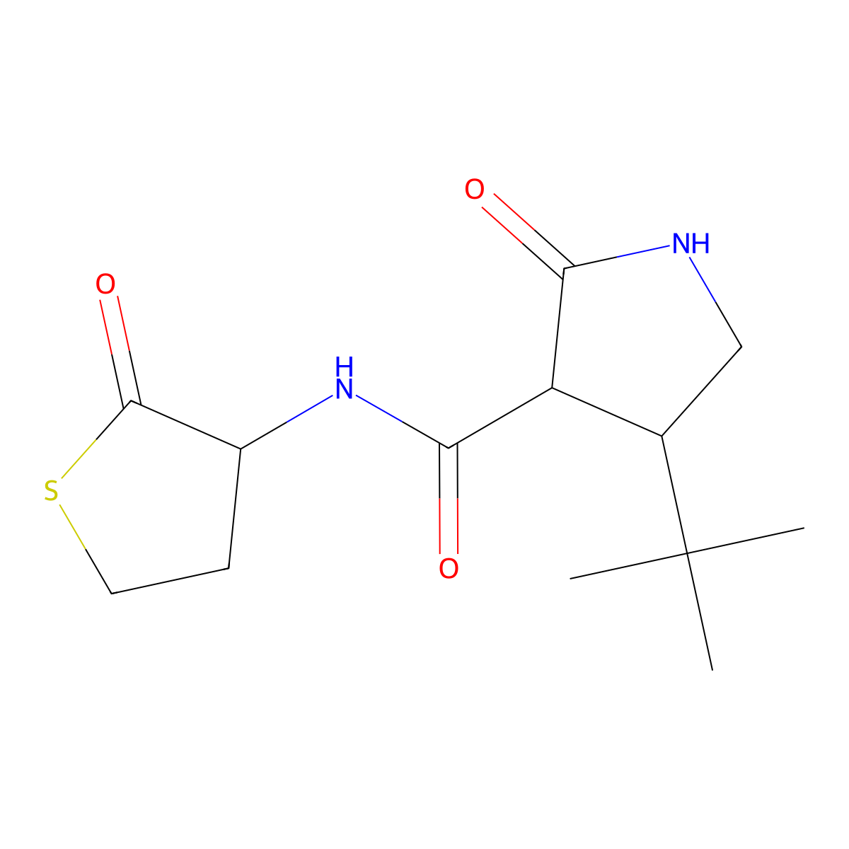 4-tert-butyl-2-oxo-N-(2-oxothiolan-3-yl)pyrrolidine-3-carboxamide molecular structure, CAS 2097896-47-2