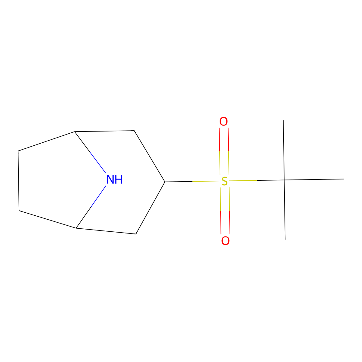 3-(tert-Butylsulfonyl)-8-azabicyclo[3.2.1]octane molecular structure, CAS 2097896-98-3