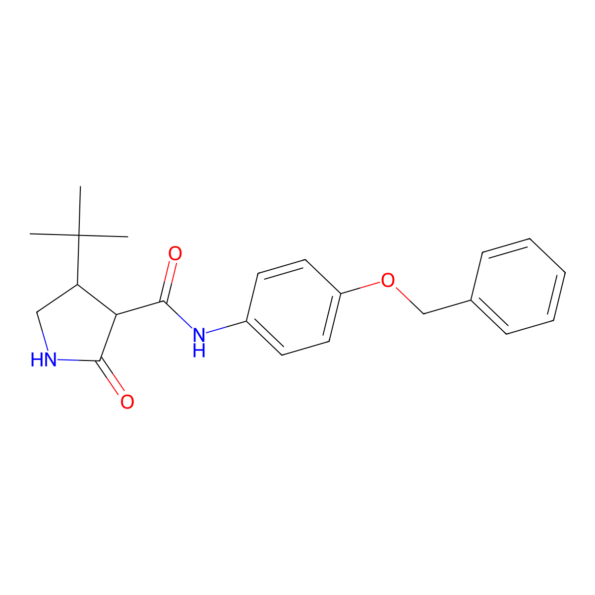 N-[4-(benzyloxy)phenyl]-4-tert-butyl-2-oxopyrrolidine-3-carboxamide molecular structure, CAS 2097897-22-6