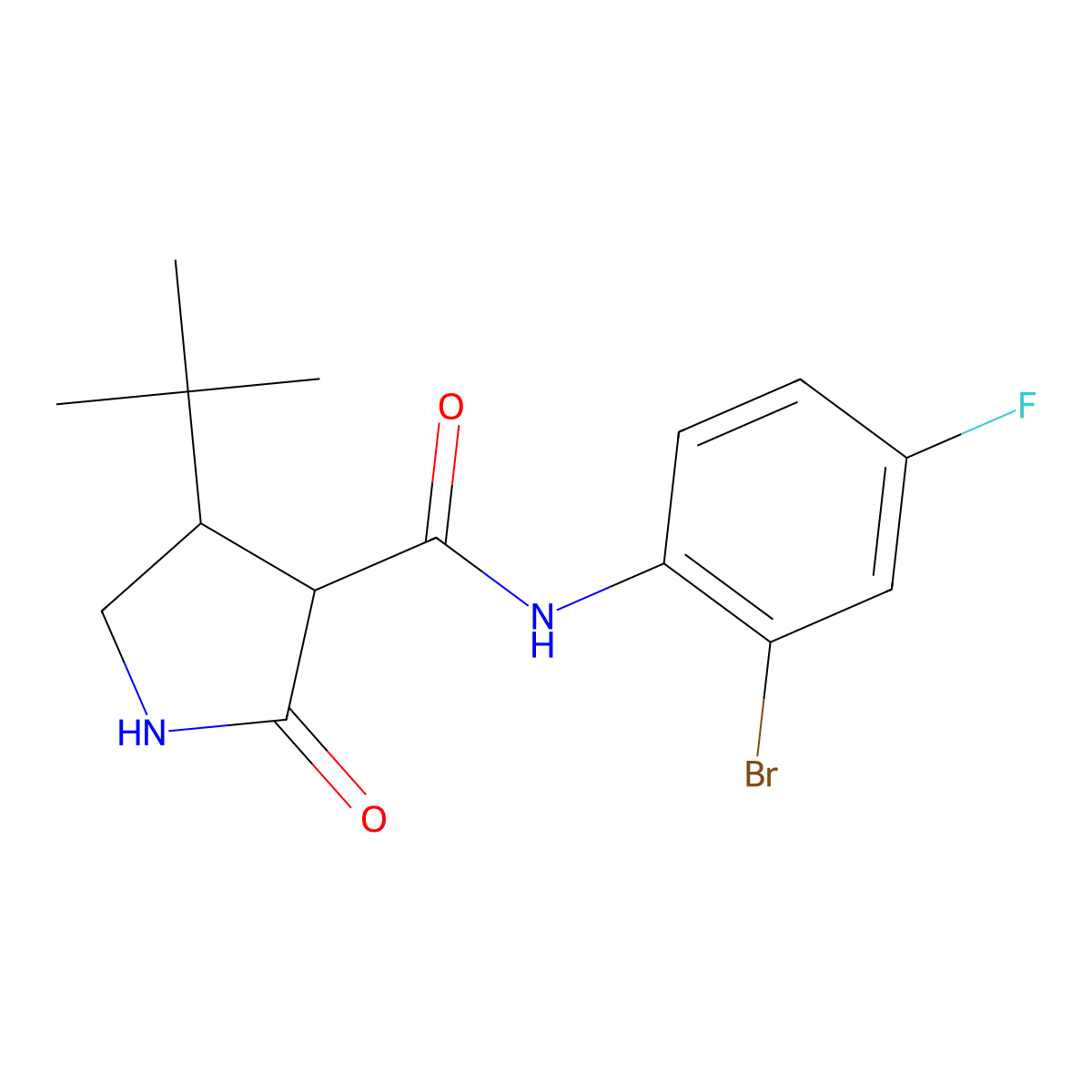 N-(2-bromo-4-fluorophenyl)-4-tert-butyl-2-oxopyrrolidine-3-carboxamide molecular structure, CAS 2097900-98-4