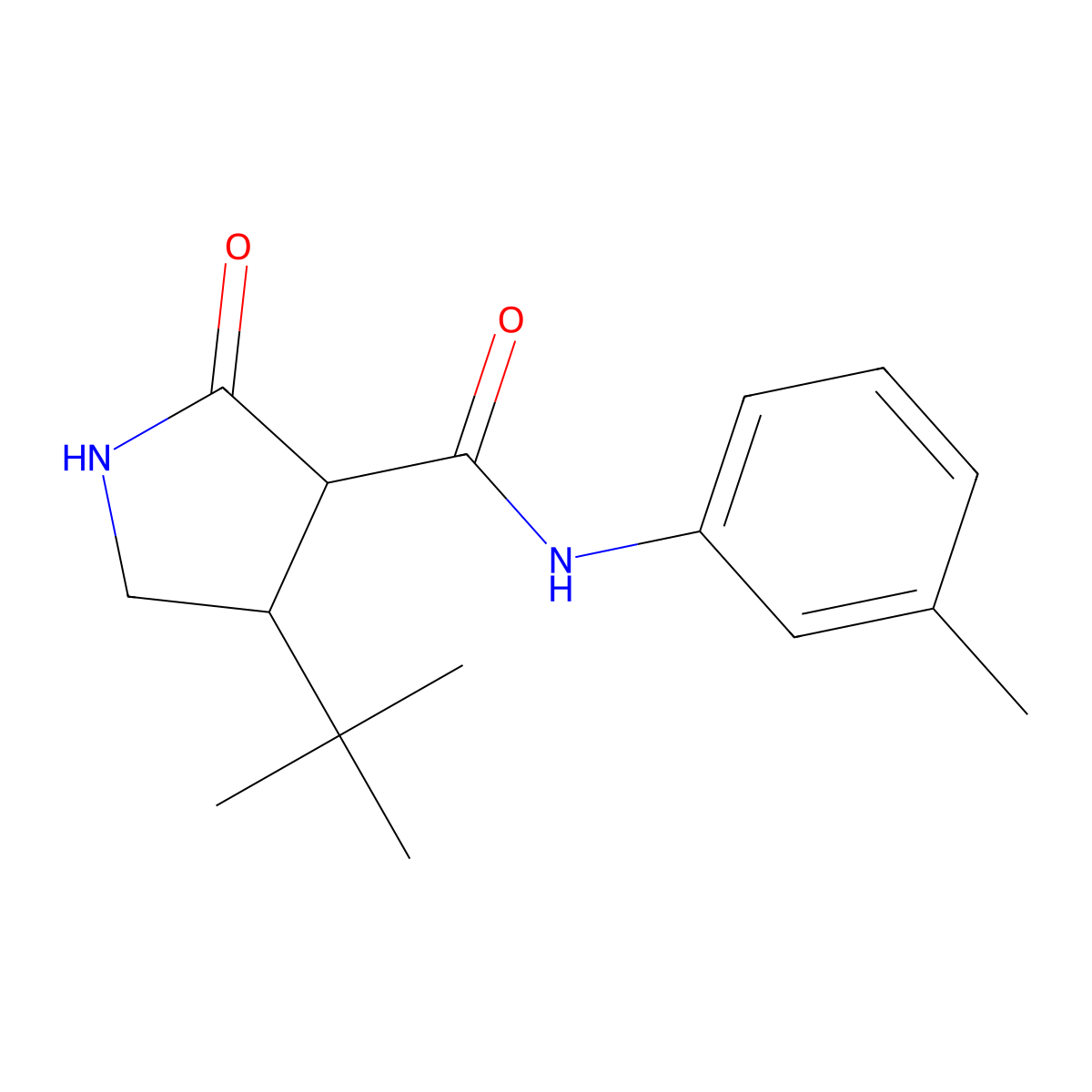 4-tert-butyl-N-(3-methylphenyl)-2-oxopyrrolidine-3-carboxamide molecular structure, CAS 2097902-58-2