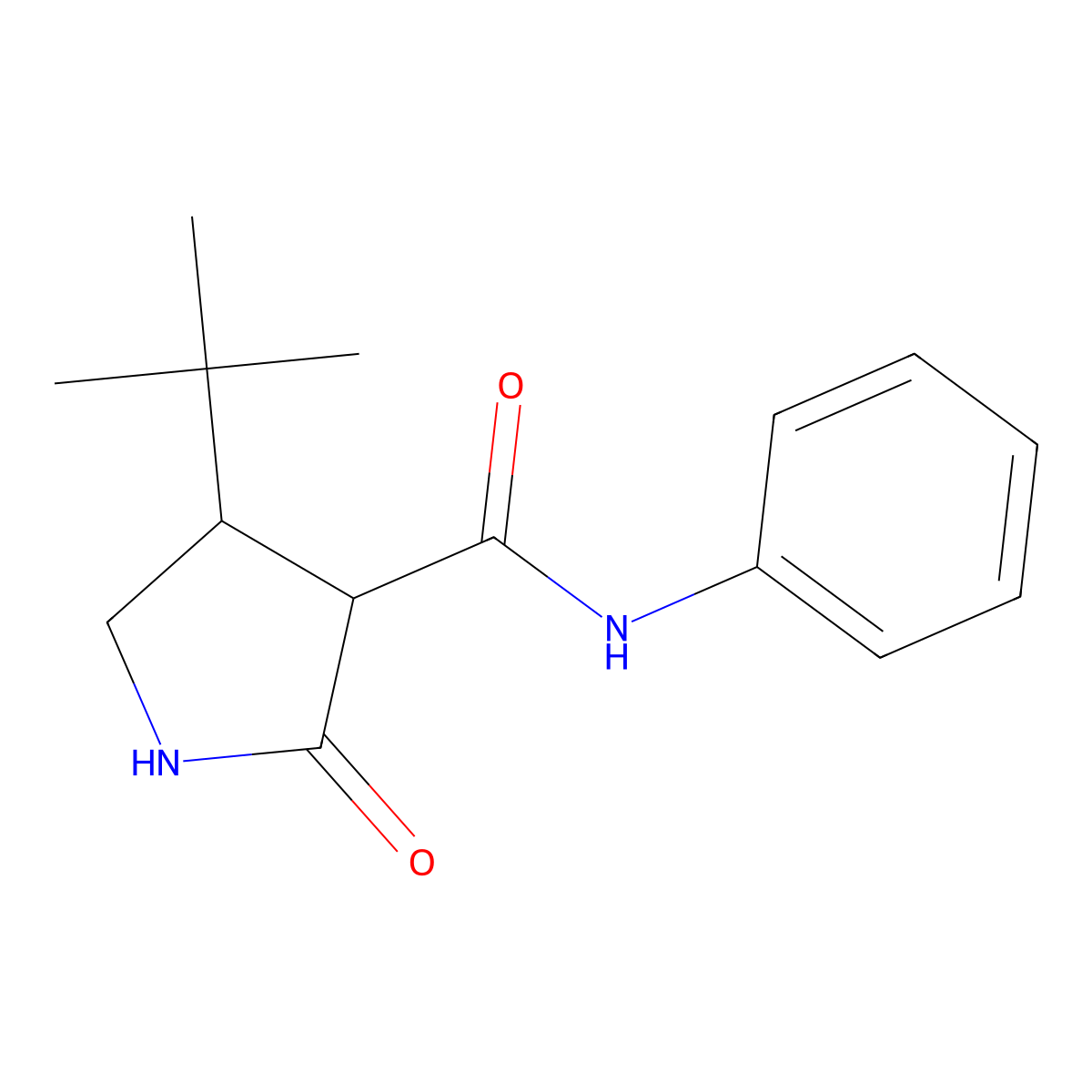 4-tert-butyl-2-oxo-N-phenylpyrrolidine-3-carboxamide molecular structure, CAS 2097916-45-3