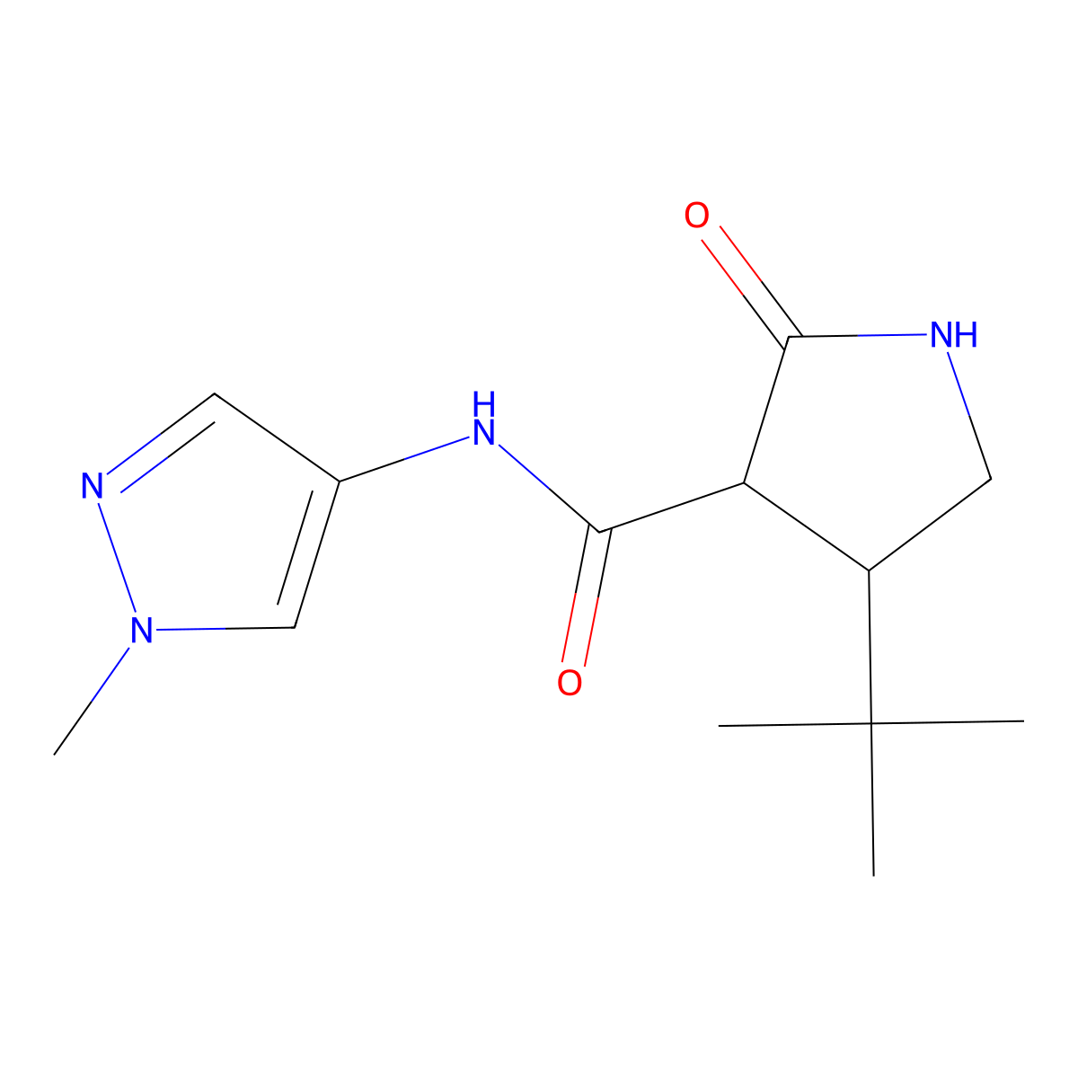 4-tert-butyl-N-(1-methyl-1H-pyrazol-4-yl)-2-oxopyrrolidine-3-carboxamide molecular structure, CAS 2097916-98-6
