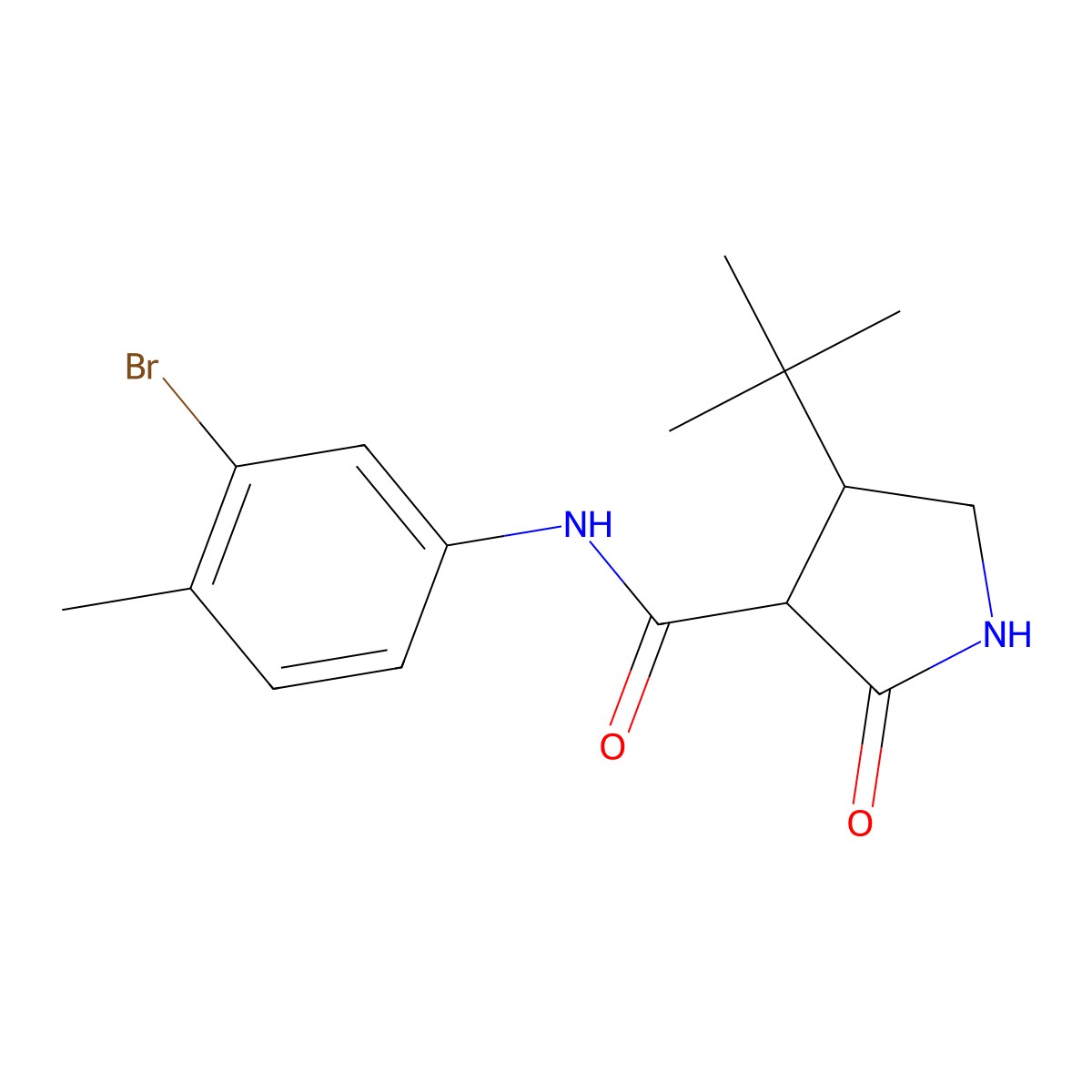 N-(3-bromo-4-methylphenyl)-4-tert-butyl-2-oxopyrrolidine-3-carboxamide molecular structure, CAS 2097917-69-4