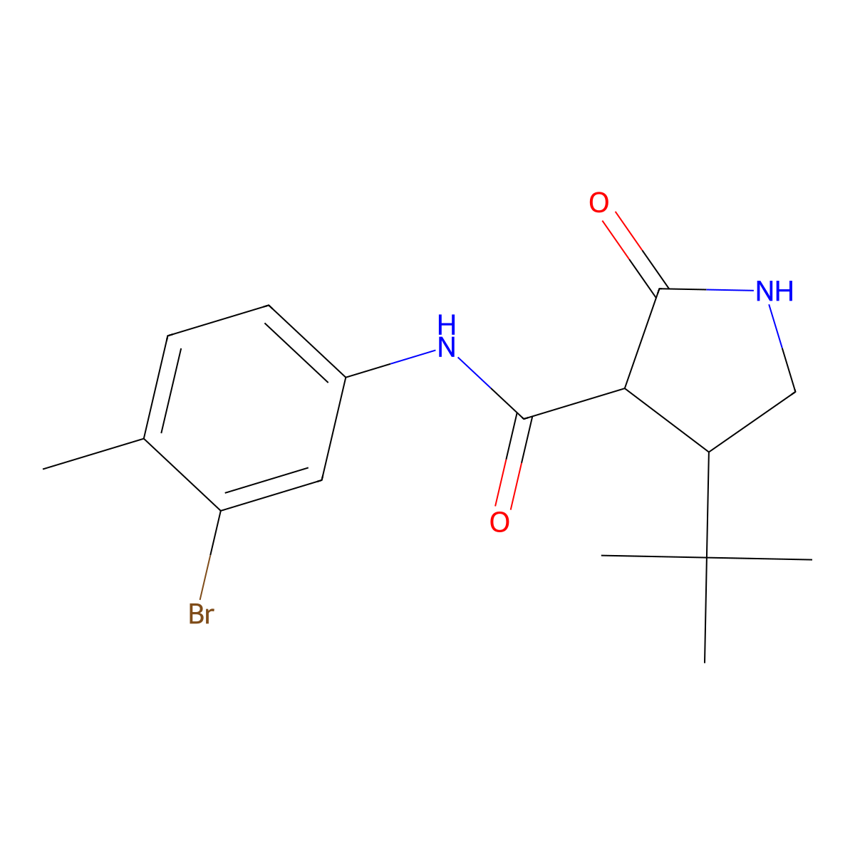 N-(3-bromo-4-methylphenyl)-4-tert-butyl-2-oxopyrrolidine-3-carboxamide molecular structure, CAS 2097917-69-4