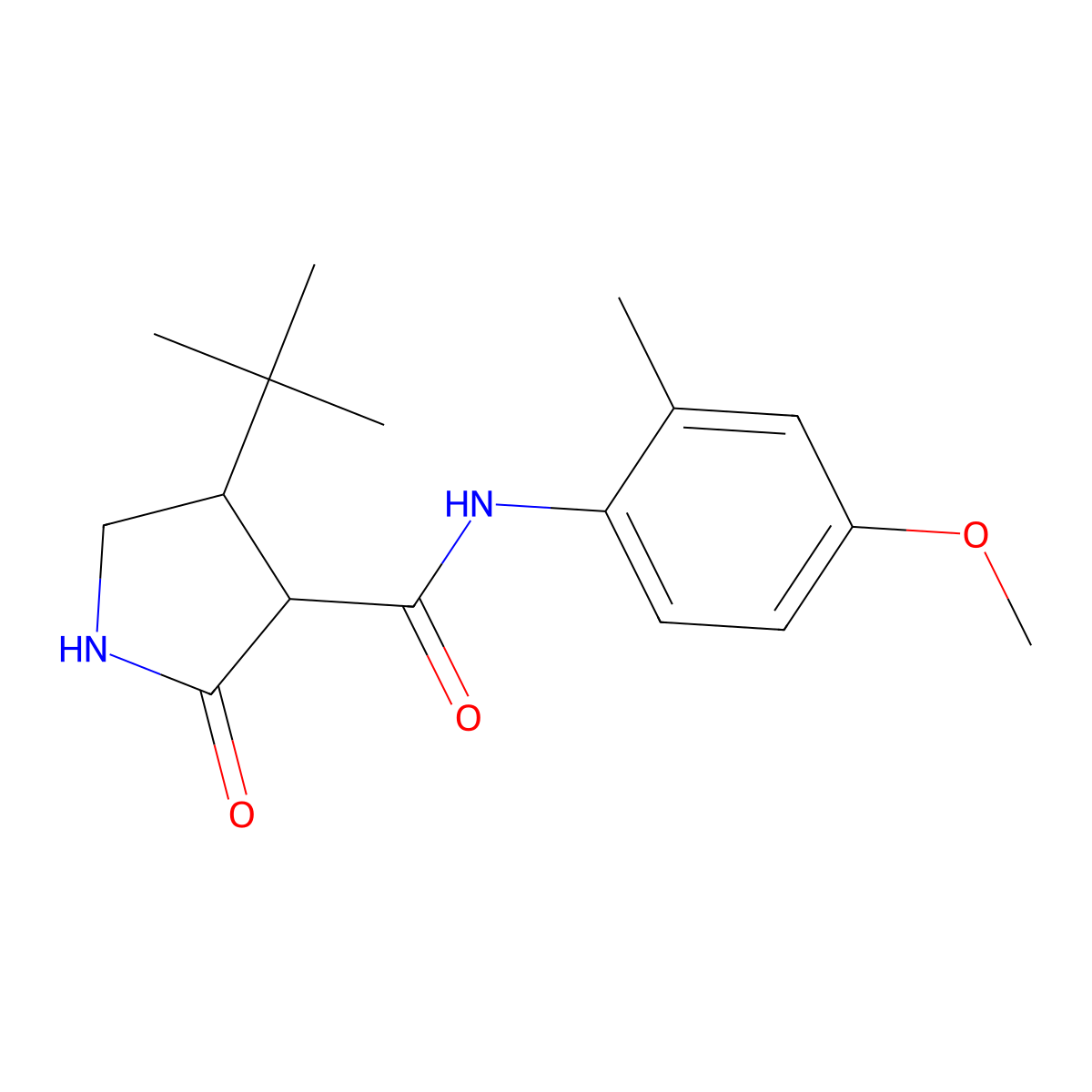 4-tert-butyl-N-(4-methoxy-2-methylphenyl)-2-oxopyrrolidine-3-carboxamide molecular structure, CAS 2097920-41-5