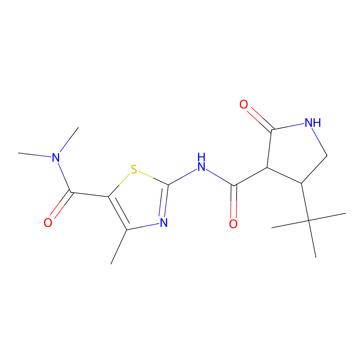 2-(4-tert-butyl-2-oxopyrrolidine-3-amido)-N,N,4-trimethyl-1,3-thiazole-5-carboxamide molecular structure, CAS 2097923-99-2
