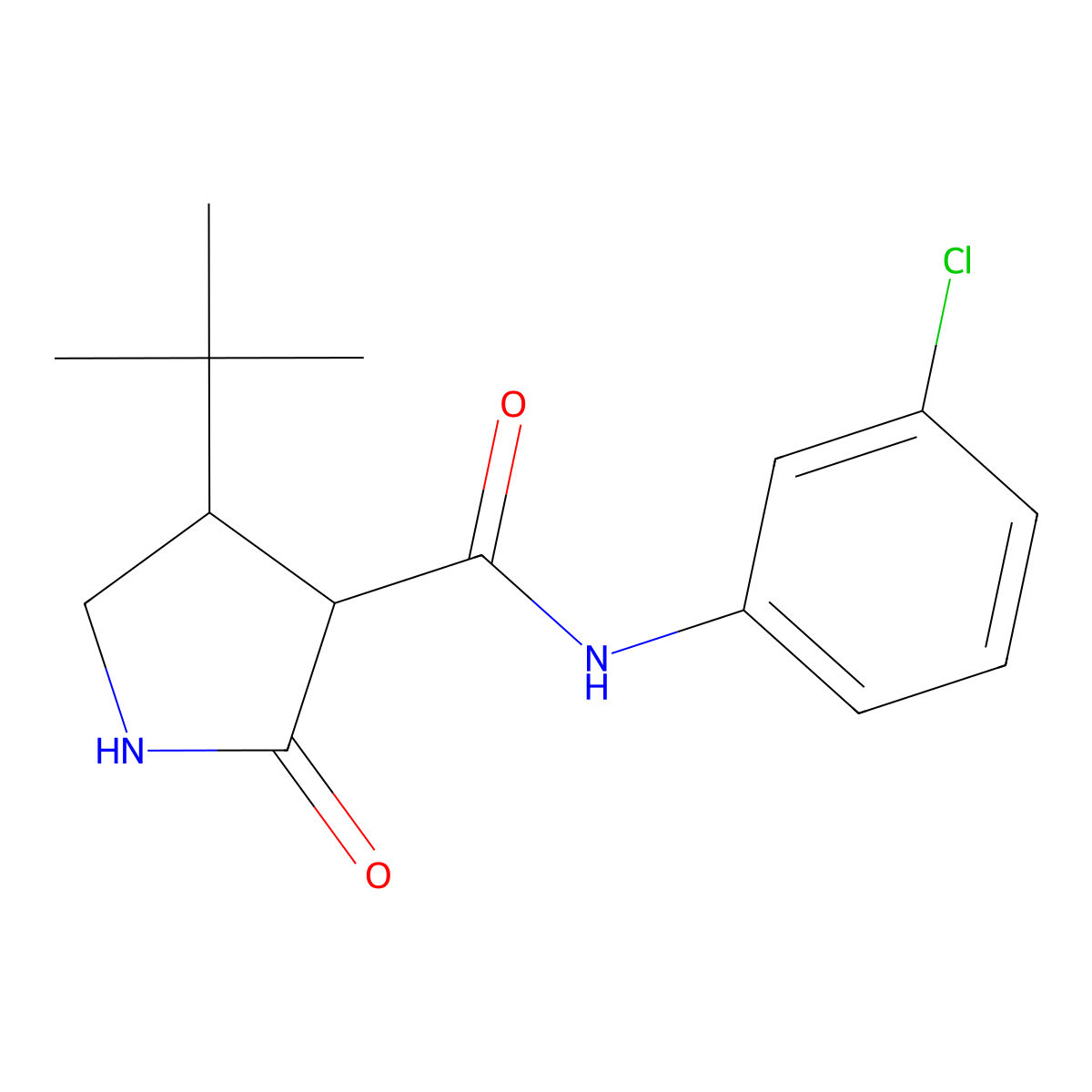4-tert-butyl-N-(3-chlorophenyl)-2-oxopyrrolidine-3-carboxamide molecular structure, CAS 2097934-50-2