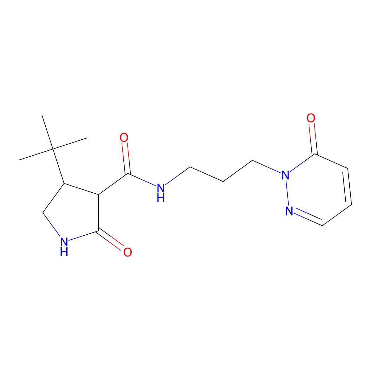 4-tert-butyl-2-oxo-N-[3-(6-oxo-1,6-dihydropyridazin-1-yl)propyl]pyrrolidine-3-carboxamide molecular structure, CAS 2097934-56-8