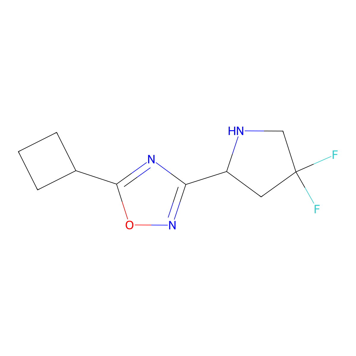 5-Cyclobutyl-3-(4,4-difluoropyrrolidin-2-yl)-1,2,4-oxadiazole molecular structure, CAS 2097936-53-1