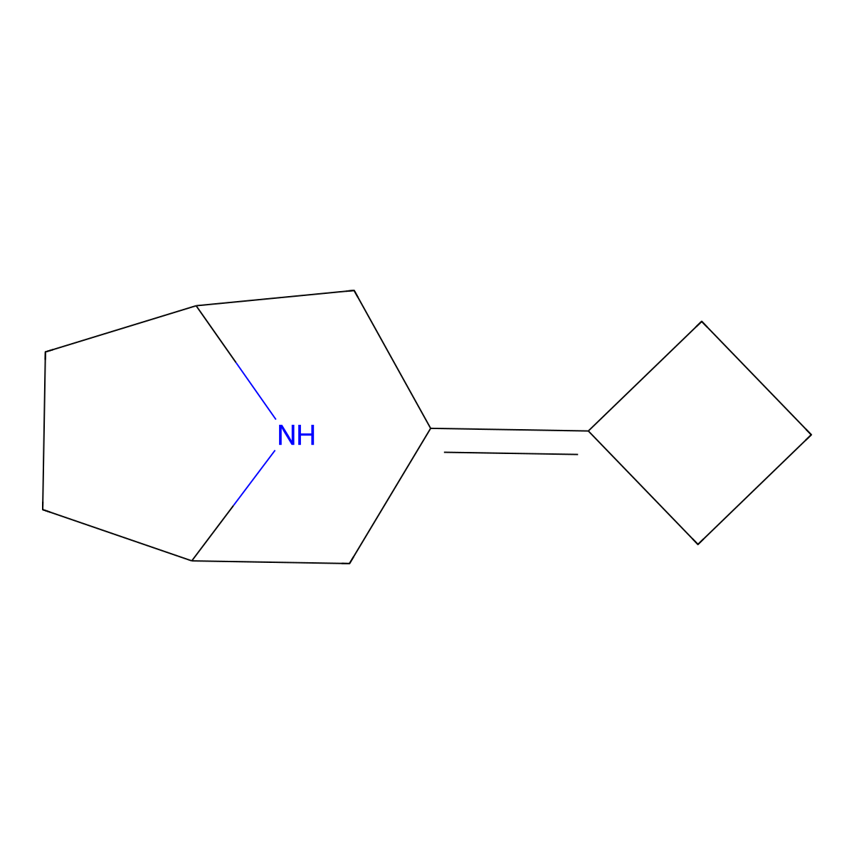 3-Cyclobutylidene-8-azabicyclo[3.2.1]octane molecular structure, CAS 2098090-77-6