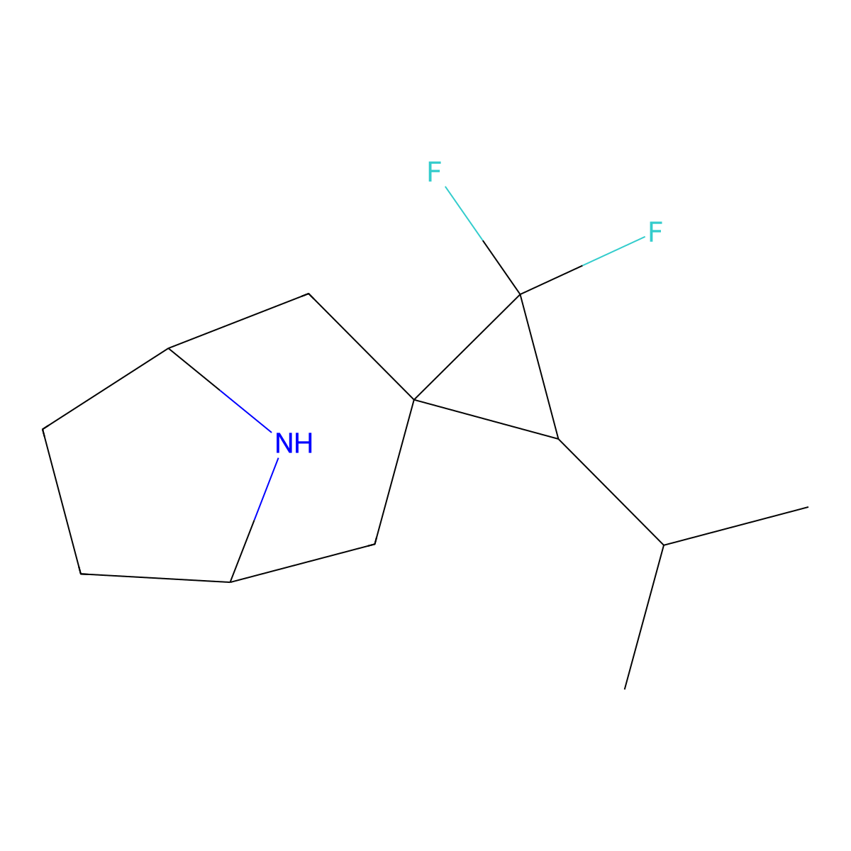 2',2'-Difluoro-3'-isopropyl-8-azaspiro[bicyclo[3.2.1]octane-3,1'-cyclopropane] molecular structure, CAS 2098126-97-5