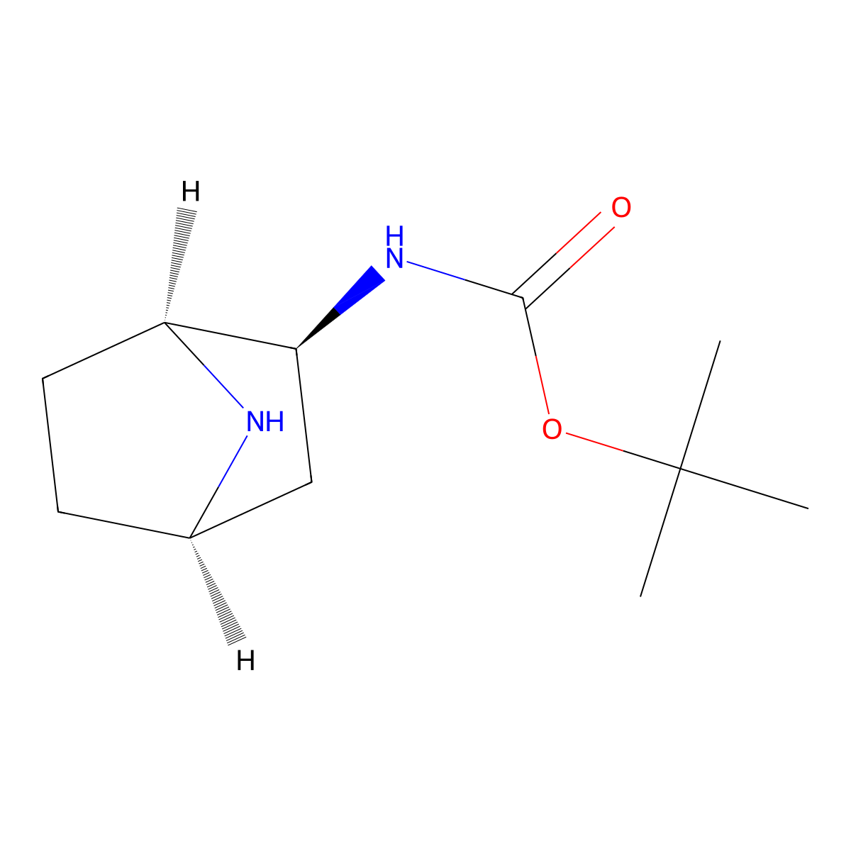 tert-butyl N-[(1S,2S,4R)-7-azabicyclo[2.2.1]heptan-2-yl]carbamate molecular structure, CAS 2098589-06-9