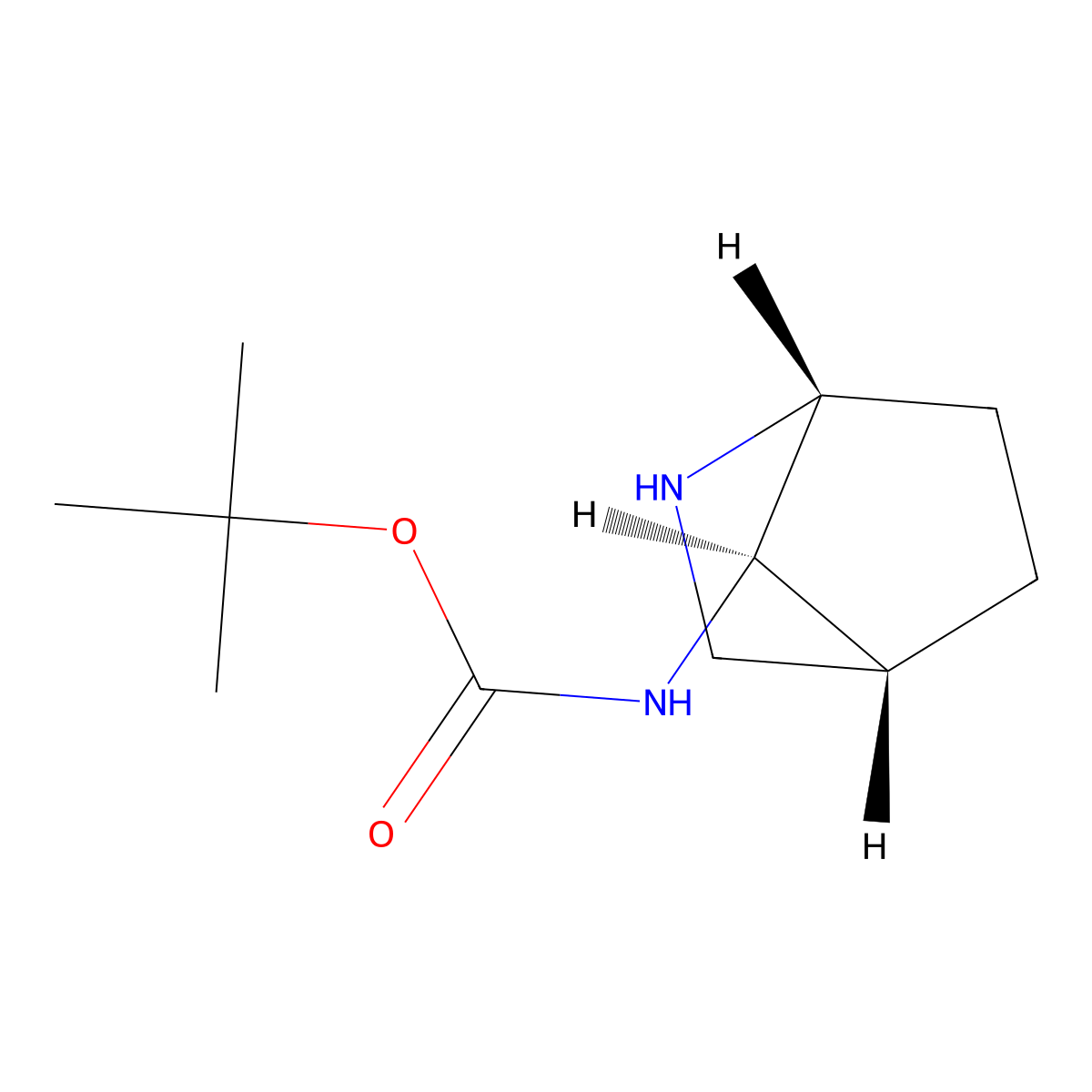 rac-tert-butyl N-[(1R,4R,7R)-2-azabicyclo[2.2.1]heptan-7-yl]carbamate molecular structure, CAS 2101335-28-6