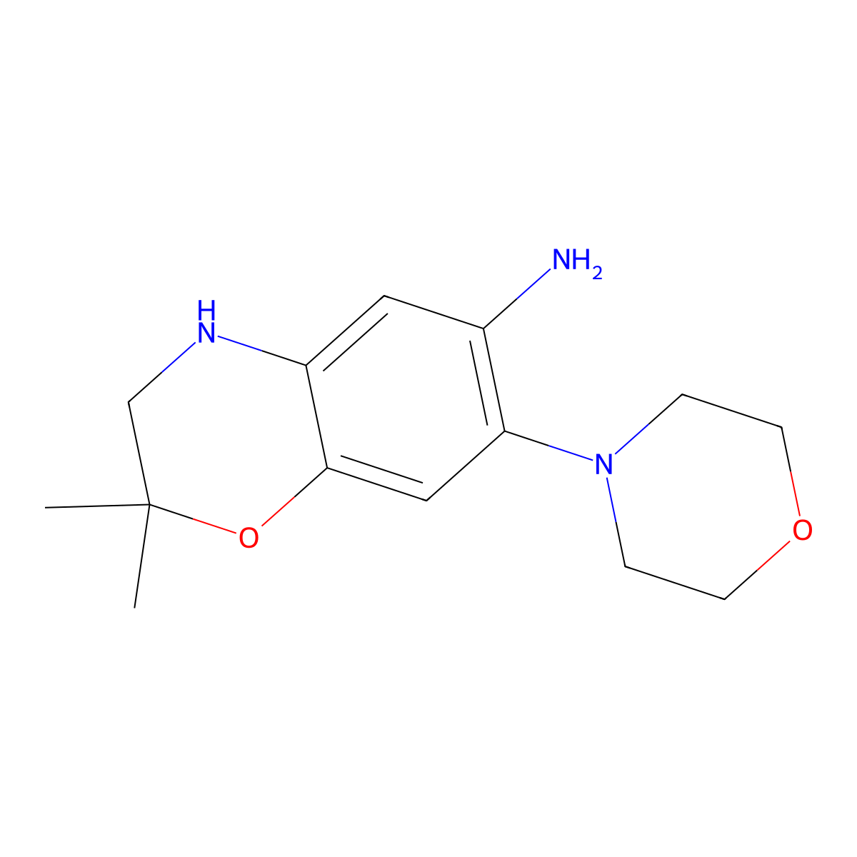 2,2-Dimethyl-7-morpholino-3,4-dihydro-2H-benzo[B][1,4]oxazin-6-amine molecular structure, CAS 2102174-98-9